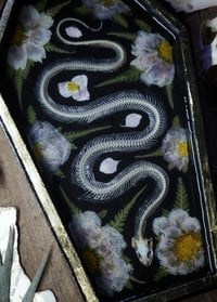 Image 4 of Snake Skeleton and Floral Wall Coffin