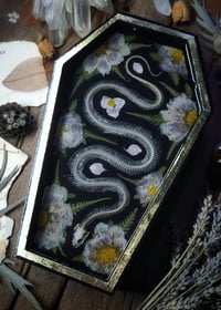 Image 1 of Snake Skeleton and Floral Wall Coffin