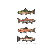 Image 2 of Brook, Rainbow, Cutt, Brown