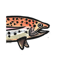 Image 3 of Brook, Rainbow, Cutt, Brown