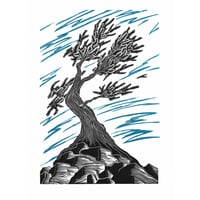 Strong Roots