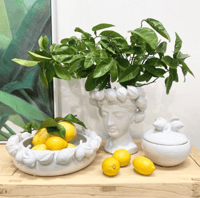 Image 2 of Citrus Lemon Bowl