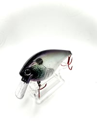 Image 2 of Crank-bait Square Bill Transparent Blu Purpz Tone Shad