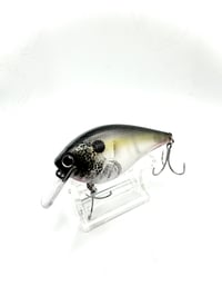 Image 3 of Crank-bait Square Bill Transparent  Shad