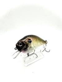 Image 1 of Crank-bait Square Bill transparent Golden Shad