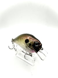 Image 2 of Crank-bait Square Bill transparent Golden Shad