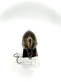 Image 4 of Crank-bait Square Bill transparent Golden Shad