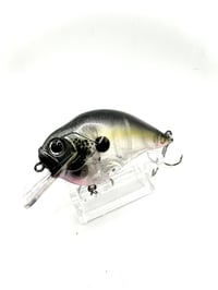 Image 2 of Crank-bait Square Bill Transparent Dragon Scale Head Shad