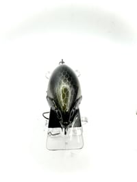 Image 4 of Crank-bait Square Bill Transparent Dragon Scale Head Shad
