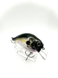 Image 1 of Crank-bait Square Bill Transparent  Shad (no scale on head) 