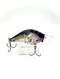 Image 3 of Crank-bait Square Bill Transparent  Shad (no scale on head) 