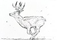 Image 4 of SHRINKFLATION