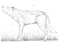 Image 5 of SHRINKFLATION