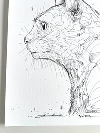 Image 4 of Looking Up