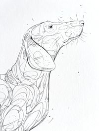 Image 2 of The Watcher