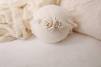 Image 3 of Cream bundle 4 