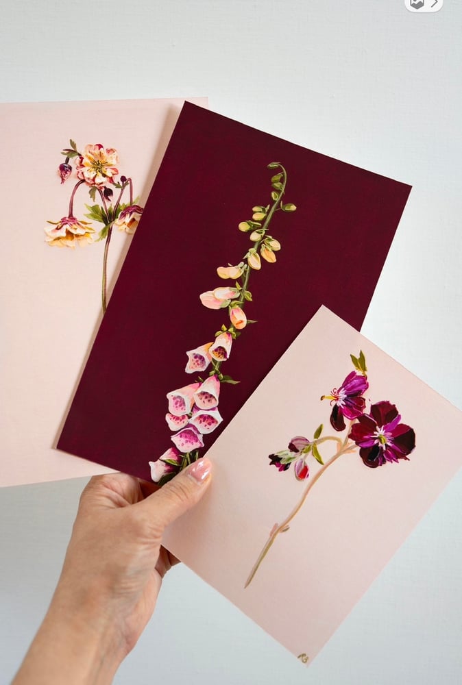 Image of Geranium Samabor  Giclée Print