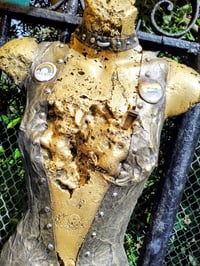 Image 3 of "NO SAINT ASKED PERMISSION"