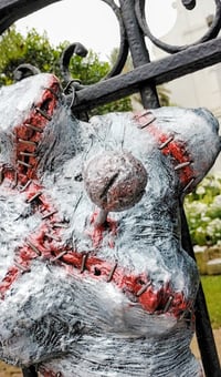 Image 2 of "HEXED FLESH" 