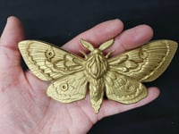 Moth/Butterfly Wall Hanging Art Decor