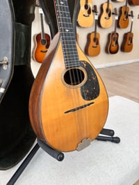 Image 2 of 1917 CF Martin Model B Mandolin