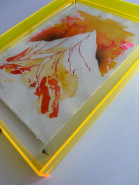Image 4 of Discounted: Framed A4 ink original yellow frame 1