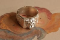 Querubín Plata