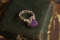 Image 1 of Lavender