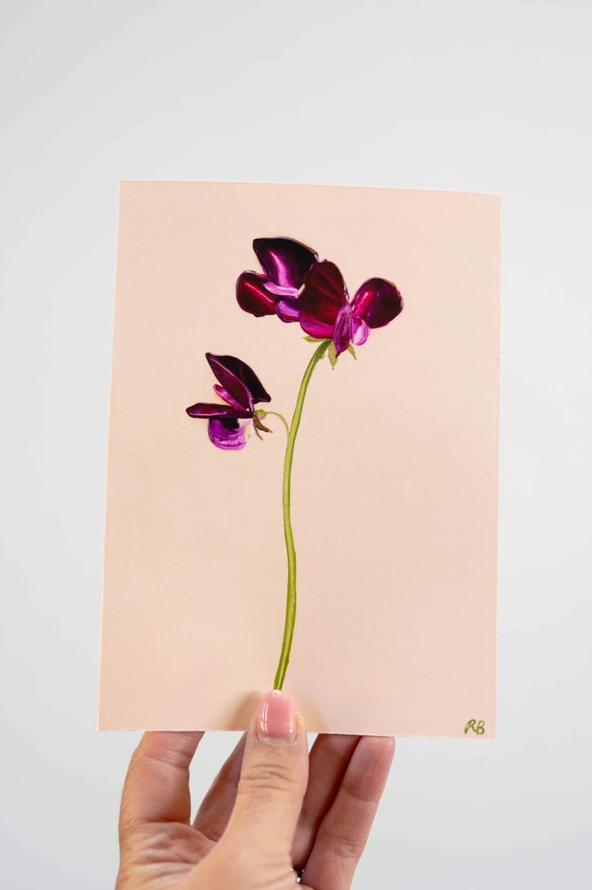 Image of Sweet Pea Beaujolais Giclée Print