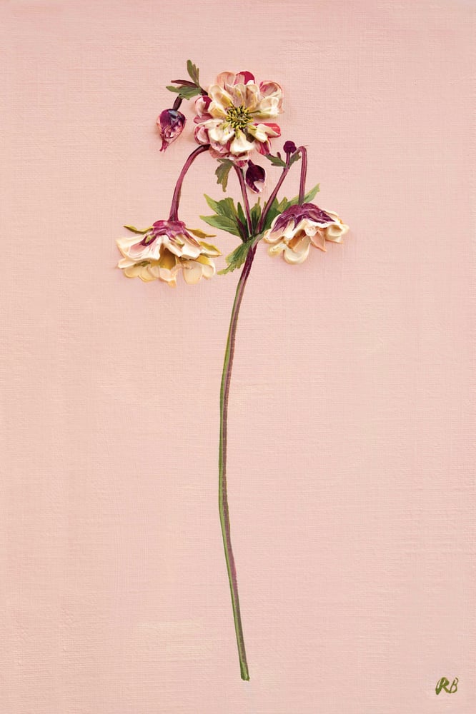 Image of Geum Petticoats Peach Giclée Print