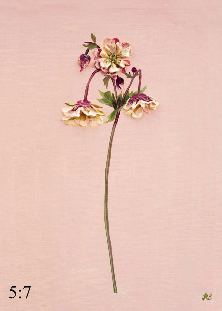Image of Geum Petticoats Peach Giclée Print