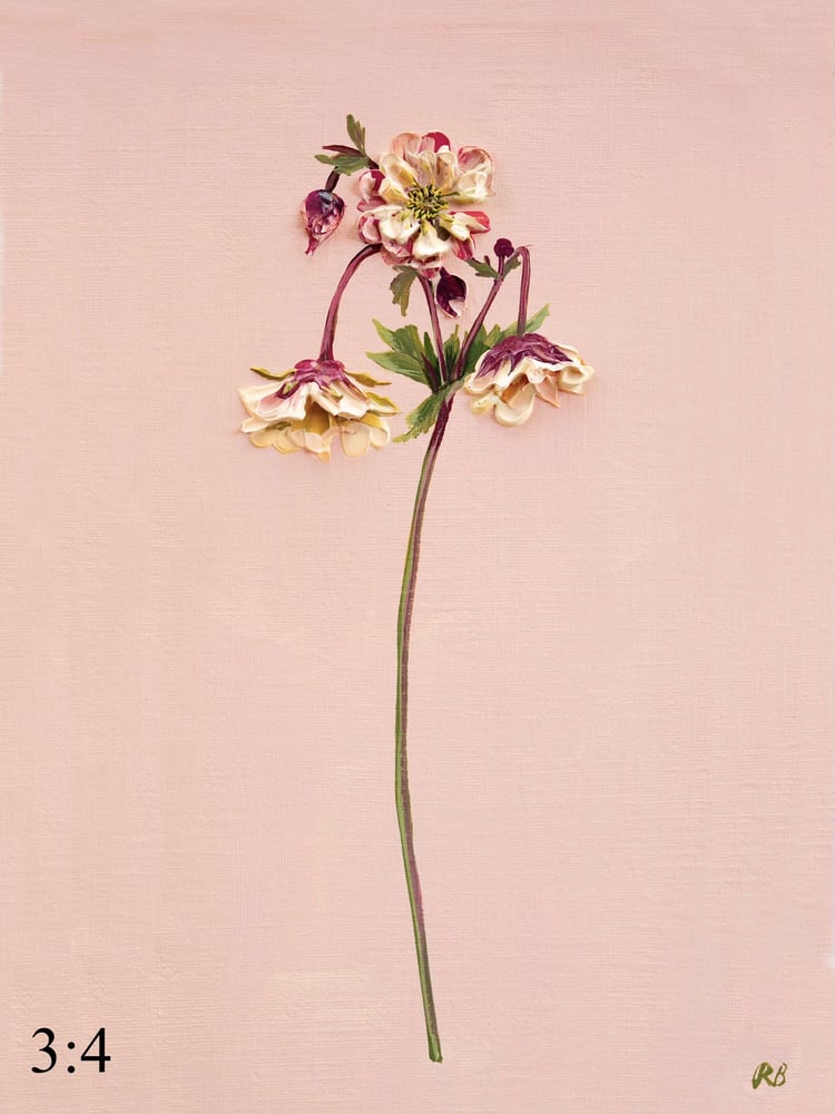 Image of Geum Petticoats Peach Giclée Print