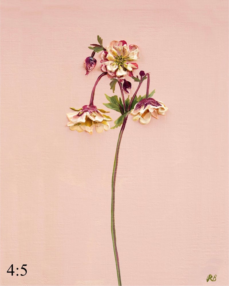 Image of Geum Petticoats Peach Giclée Print