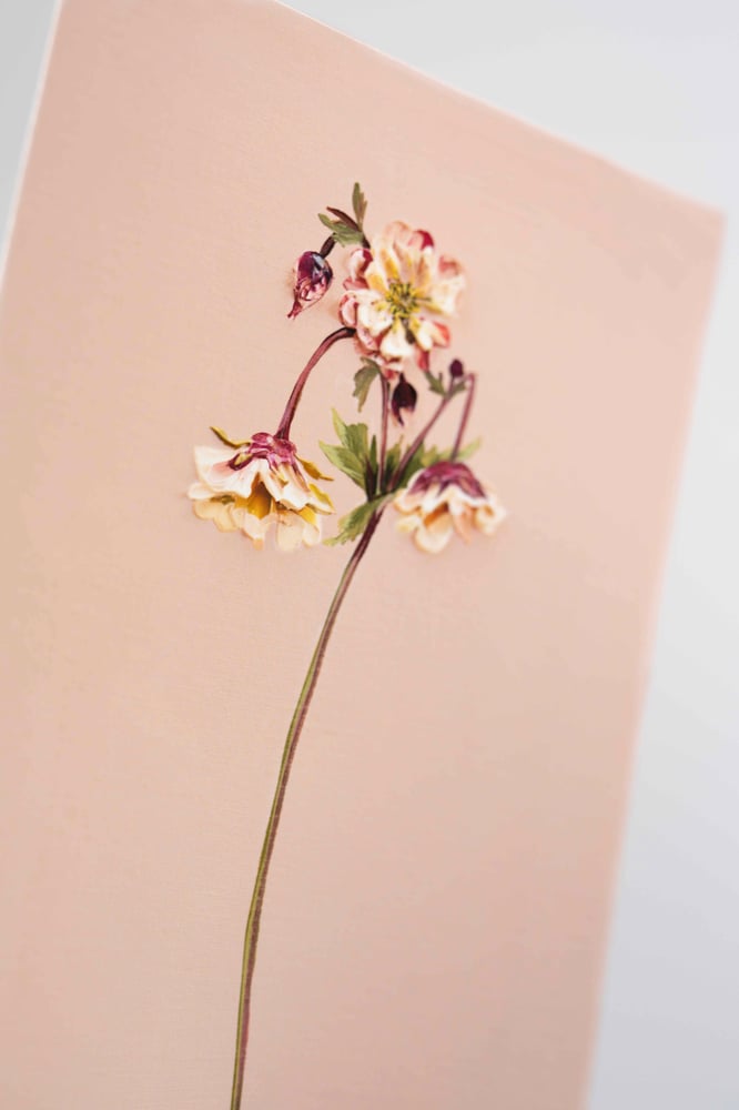 Image of Geum Petticoats Peach Giclée Print