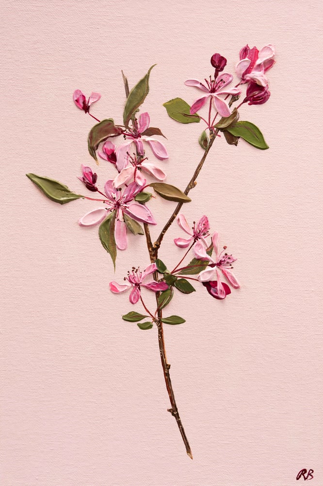 Image of Malus Blossom Giclée Print