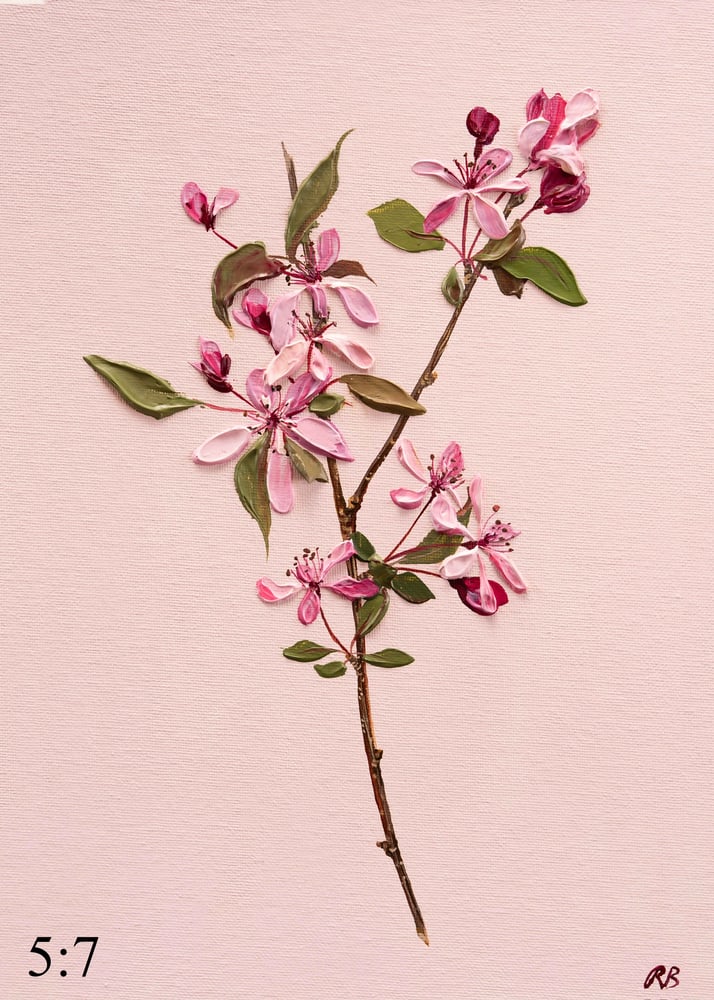 Image of Malus Blossom Giclée Print