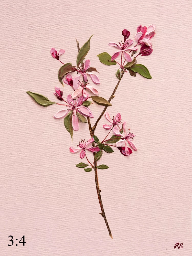Image of Malus Blossom Giclée Print