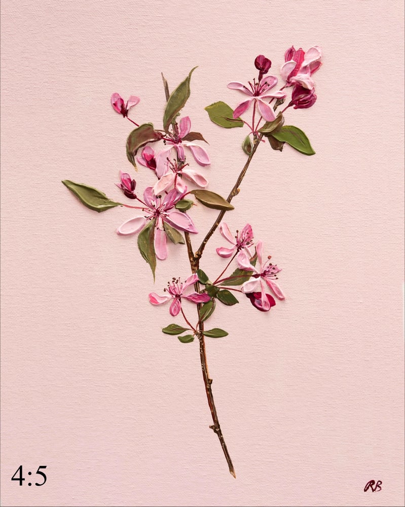 Image of Malus Blossom Giclée Print