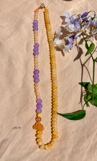 Lilas au soleil