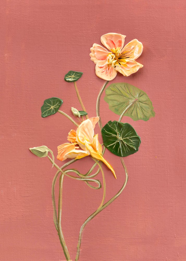 Image of Tip Top Blush Nastertium Giclée Print