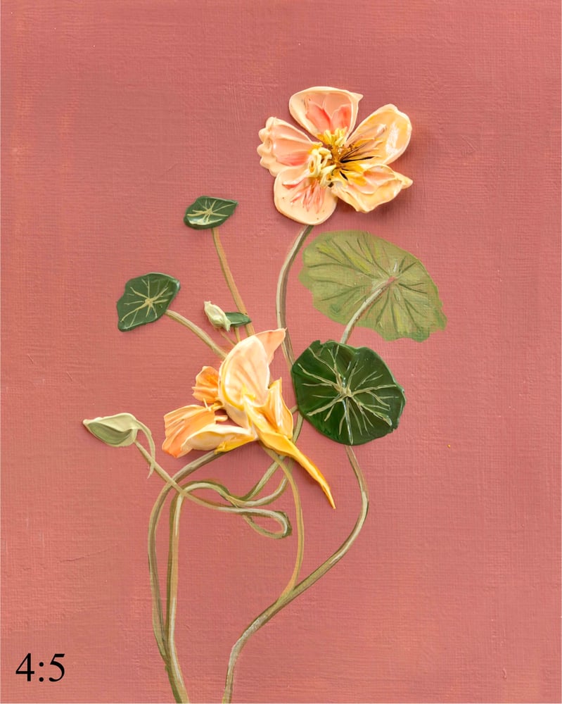 Image of Tip Top Blush Nastertium Giclée Print