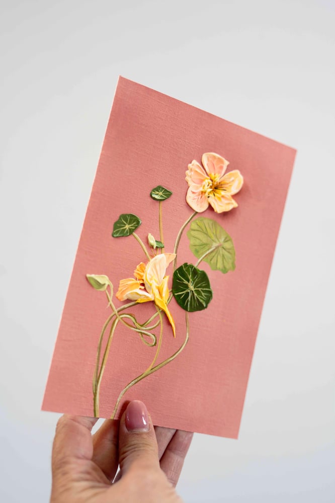 Image of Tip Top Blush Nastertium Giclée Print