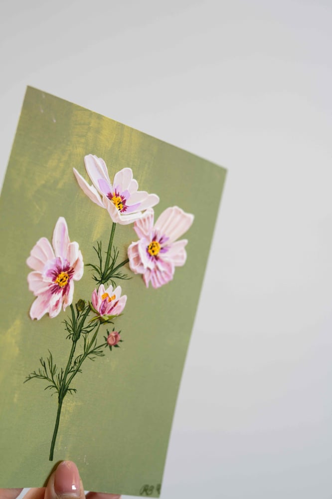 Image of Cosmos Bipinnatus Apricotta Giclée Print