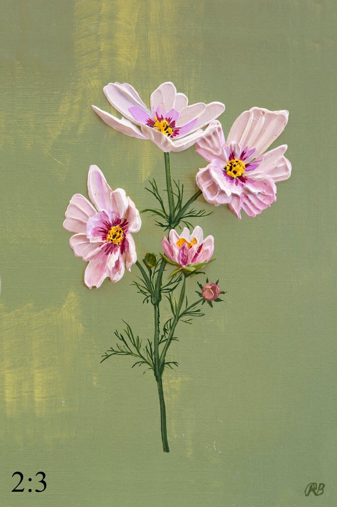 Image of Cosmos Bipinnatus Apricotta Giclée Print