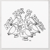 Knicks Pigeons