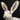 Hare IV Painting