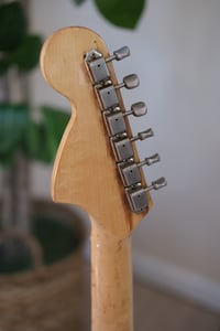 Image 7 of 1976 Fender Music Master
