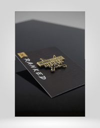 Image 3 of RANKED PINS