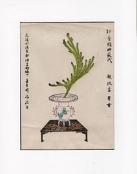 Ikebana 15