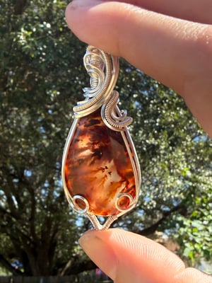 Woodward Ranch Plume Agate